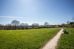 Photo 36- click for photo gallery